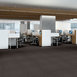 STEP-ON-IT-54587-MOVE-ALONG-87504-room-image